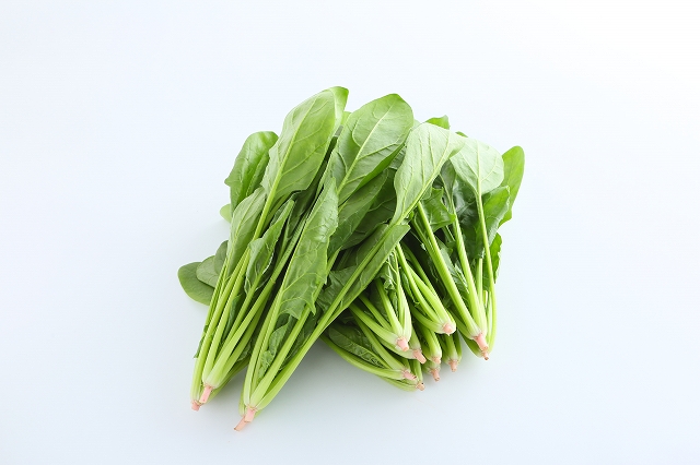 ほうれん草 ホウレンソウ 菠薐草
