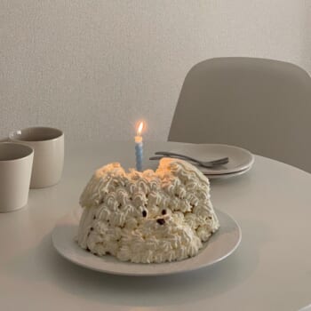 かわいさ限度超過 韓国で年末「ハーフケーキ」が人気