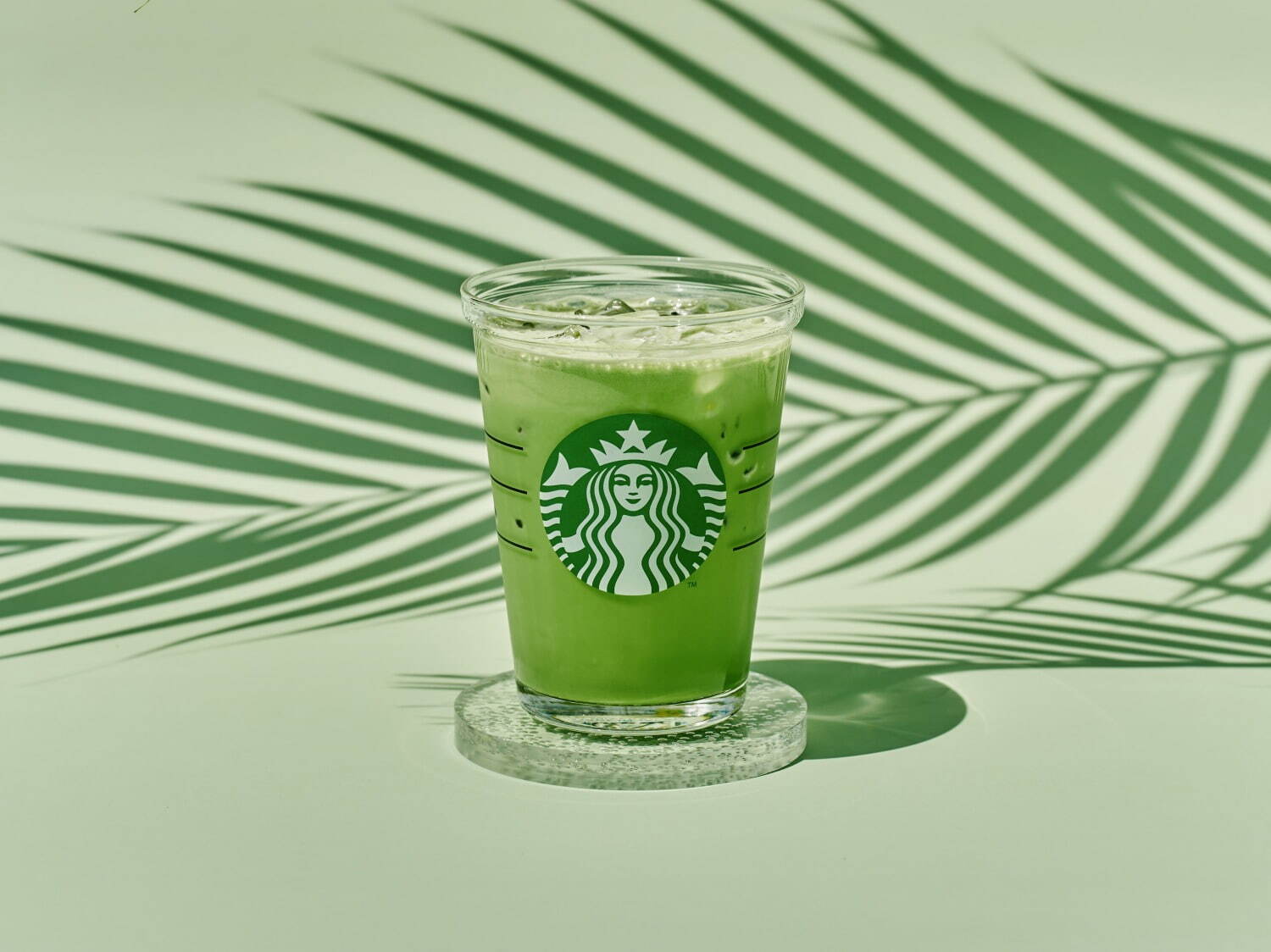 スタバ 2022年スターバックス夏の新作抹茶ビバレッジを飲んできた抹茶スイーツの魅力を発信するブログMatcha trip