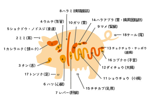三代目のやみつきホルモン コリコリ豚ミノ - 肉卸直営 とよホル