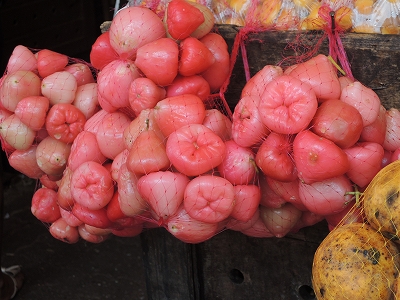 ピンク色の果物果物の図鑑web