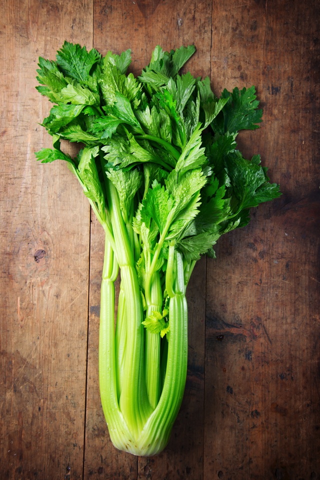 パセリとバジルの違いを完全ガイド栄養や育て方と活用法も紹介 - PLANT LOUNGE ～ 観葉植物の部屋