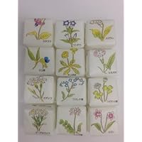 ティータイムにを華やかに♪かわいい角砂糖の人気おすすめランキングカウナラ