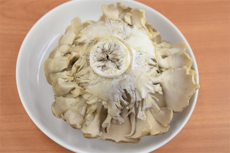舞茸の石づきはどこで切る？正しい切り方を解説 - Fily