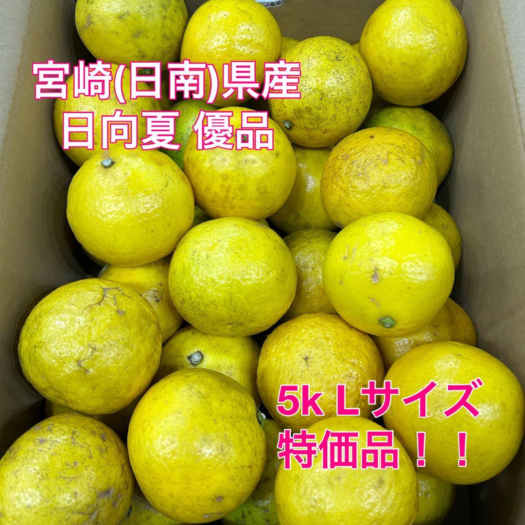 マンゴーより食べられてる!? 宮崎県民が愛するご当地フルーツ特集公式 宮崎市観光サイト