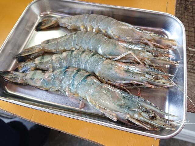 バーベキューのおすすめの調理法河市水産のレシピ紹介京都の鮮魚仲卸 河市水産株式会社