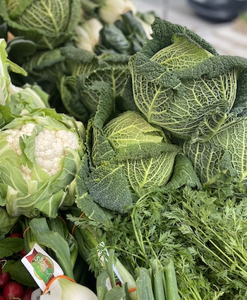 キャベツの画像一覧農畜産業振興機構