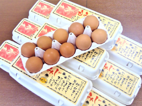 商品紹介瀧田養鶏場たまごの樹