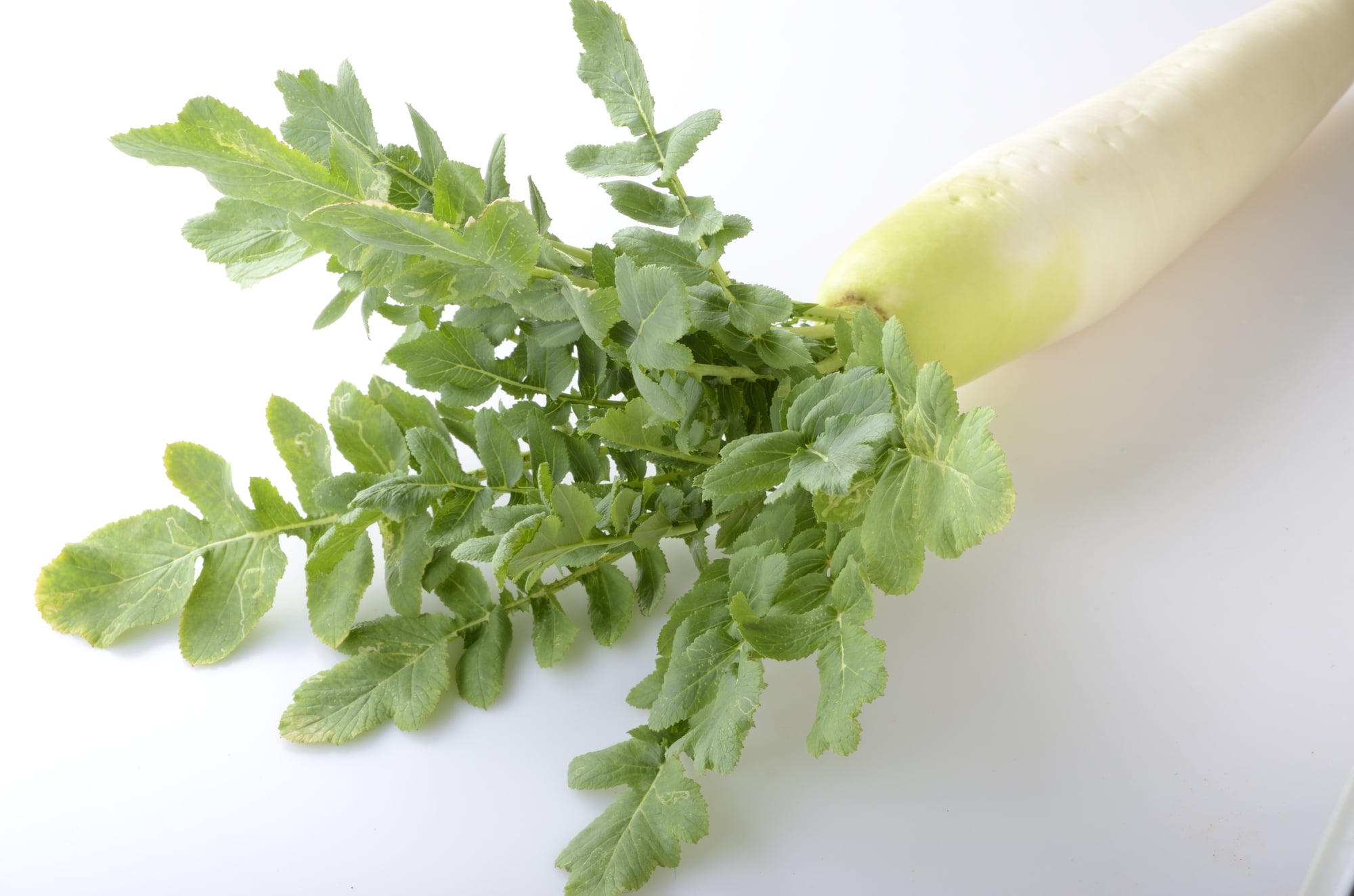 基本からアレンジまで！思わずつくりたくなる「大根の葉 ごま油 混ぜご飯」のレシピ集クックパッド