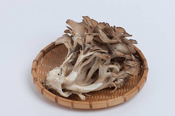 こんな舞茸、買わないでーーー！？ 