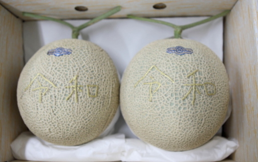 熟したマスクメロンの選び方Inside Our Brain