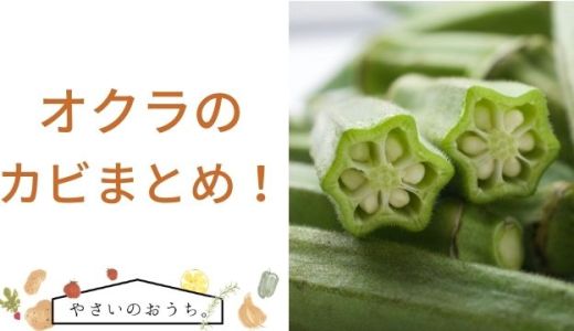 西洋野菜業務用食材の仕入れなら八面六臂