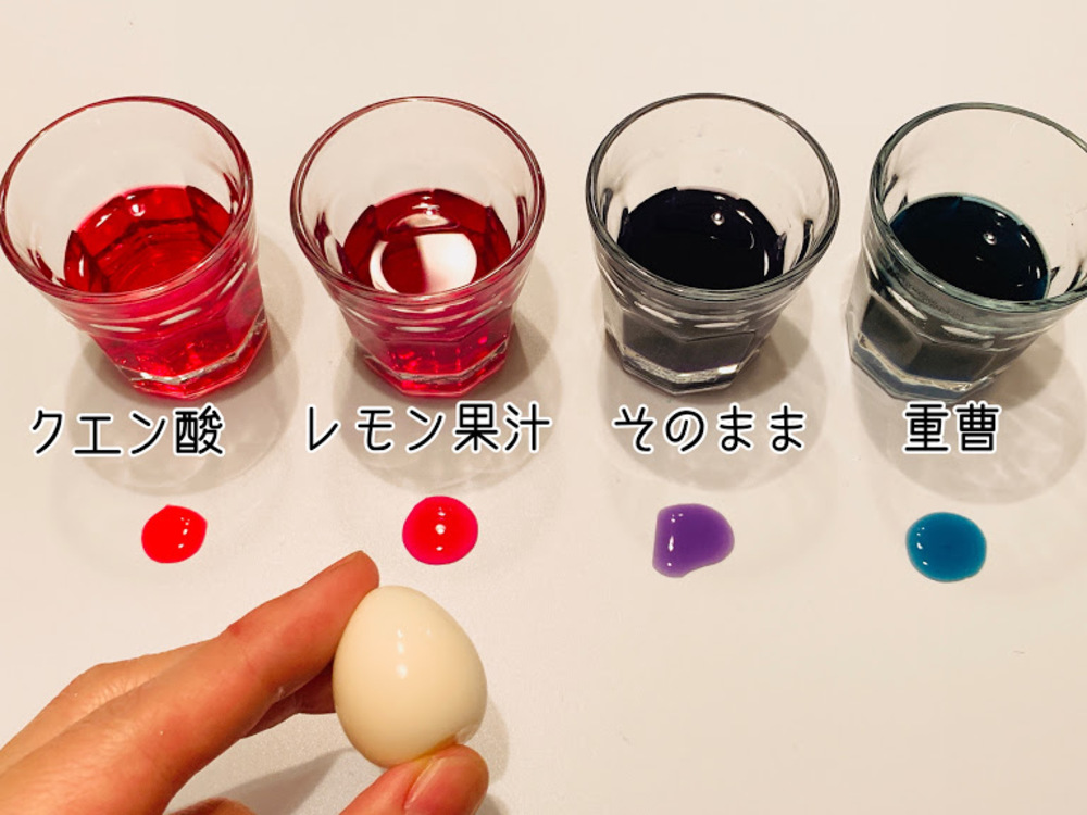 紫キャベツ丸友中部青果