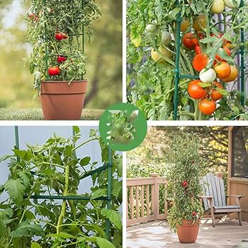 ミニトマトの成長にあわせた支柱でベランダ菜園GardenStoryガーデンストーリー