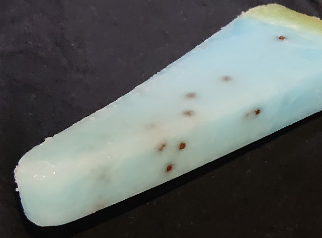 ロッテ 幸せの青いスイカバー 食べてみました