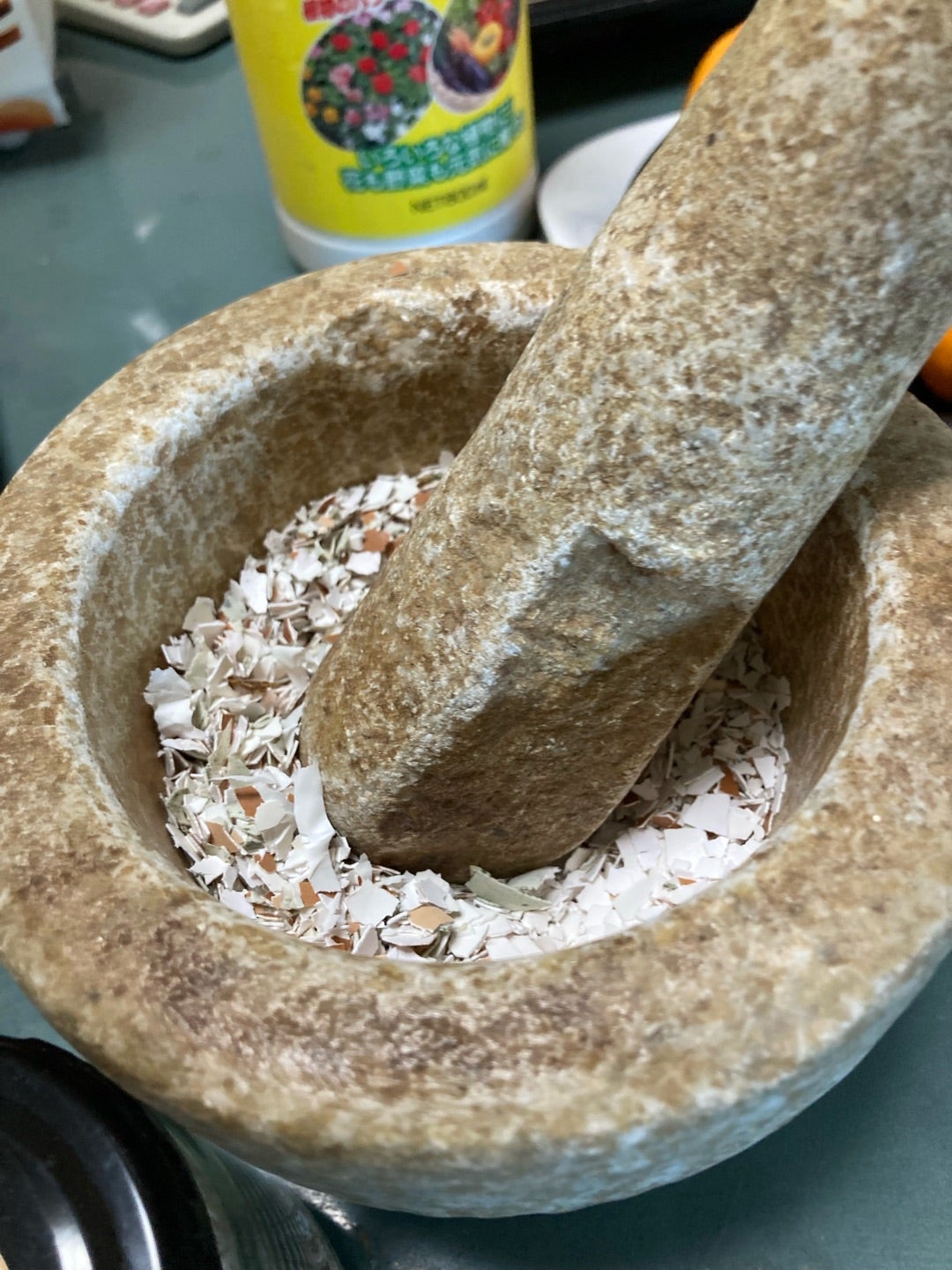 簡単DIY！タマゴの殻で簡単ポット作り！多肉や花にも◎🍀GreenSnap グリーンスナップ