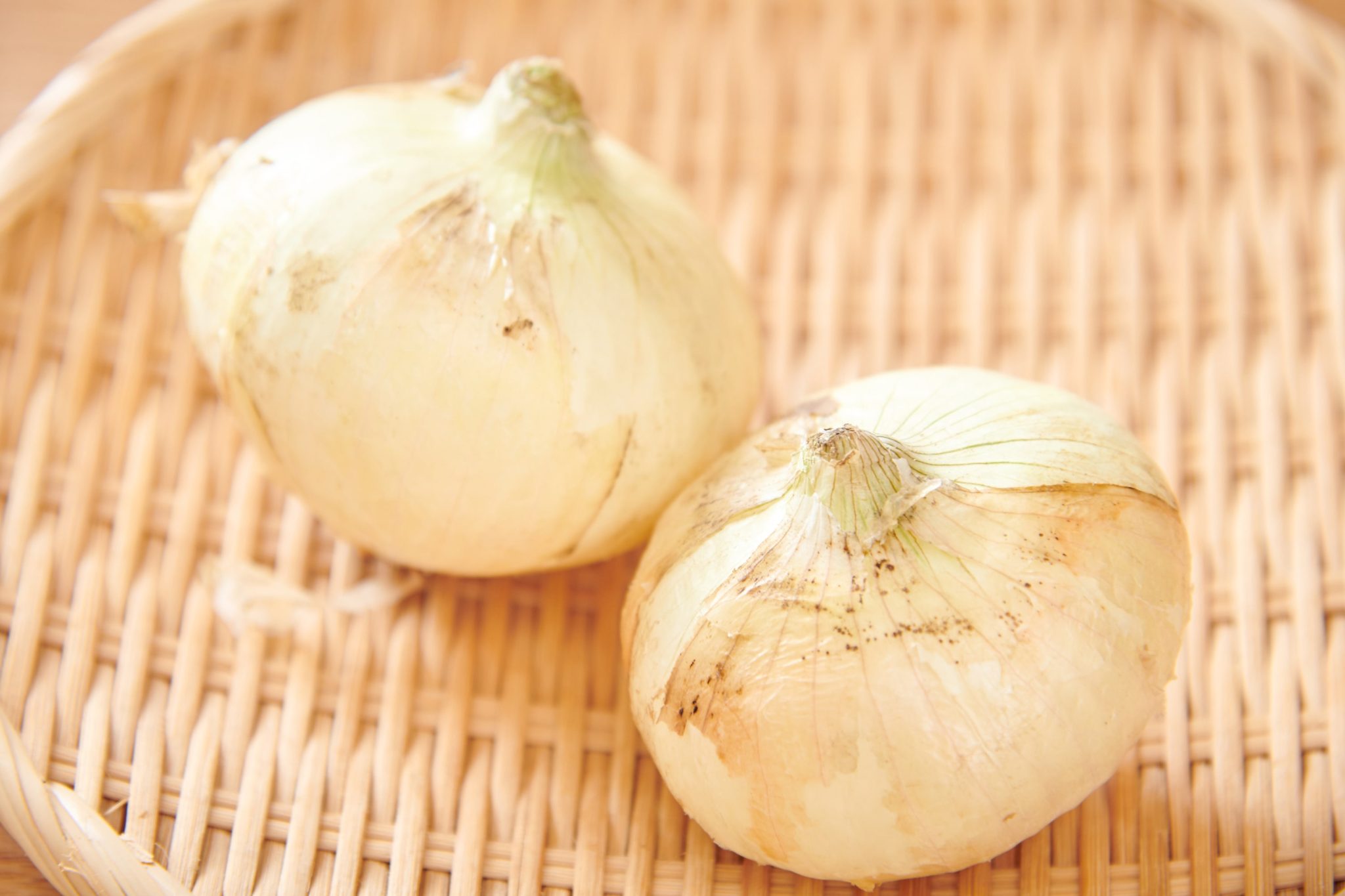 淡路島名産新玉ねぎ 早期予約販売開始公式 淡路島西海岸 by PASONA