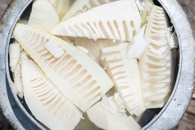 たけのこご飯の作り方 アク抜きは大根おろしで簡単に - ウェザーニュース