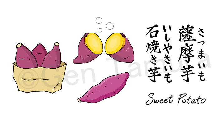 声は聞こえど 姿が見えぬ あなたを求めて🍠 京都に帰ってきてから、石焼き芋屋さんの声を毎日のように聞くようになりました👂「食べたい！」と思いはするが、走って追いかける勇気が出ず。 いつか運命の出会いを果たしたいと思っています🤤illustrationillust