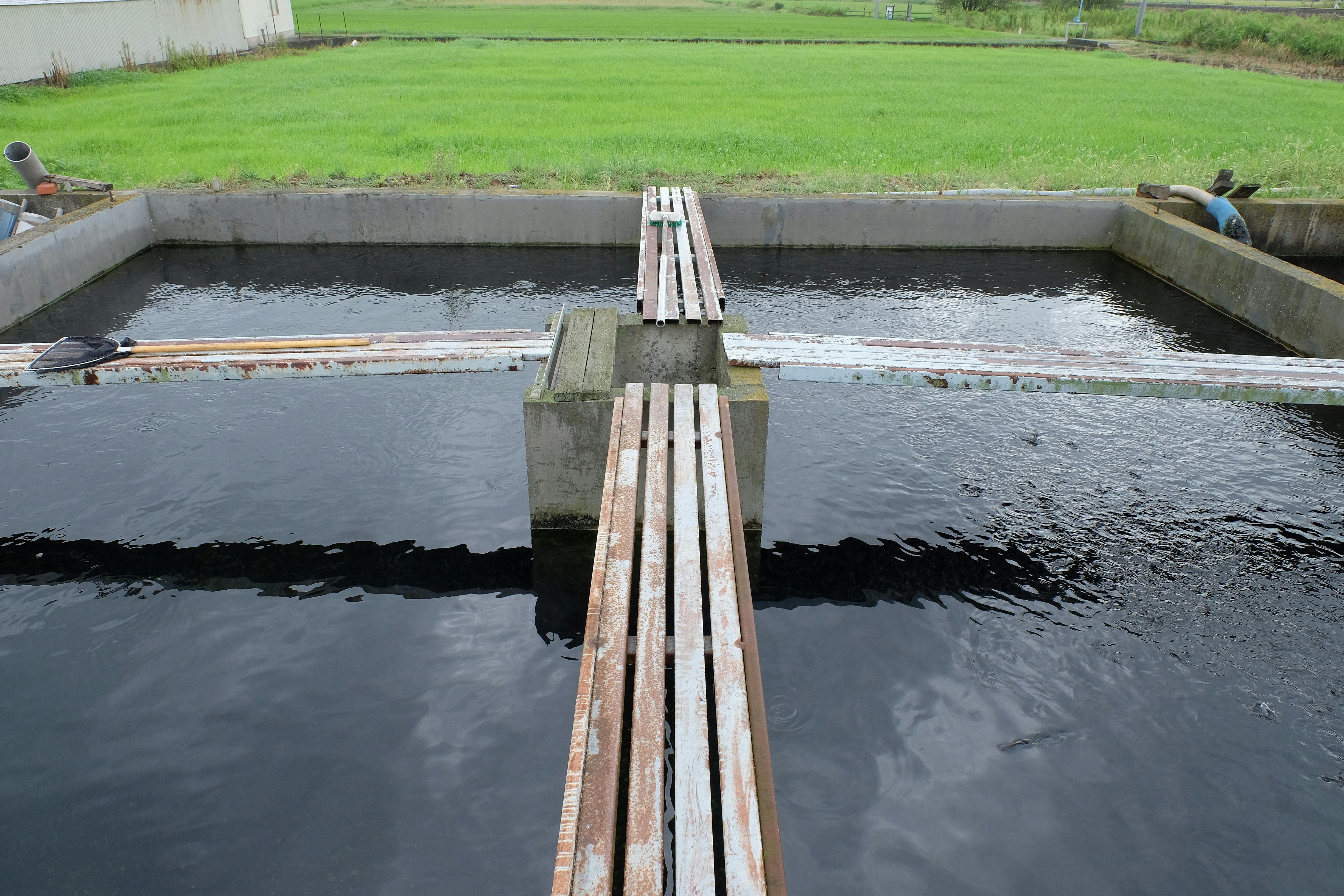 にじます唐揚げ 200尾：岐阜県産のニジマス食べチョク産地直送 産直 お取り寄せ通販 - 農家・漁師から旬の食材を直送