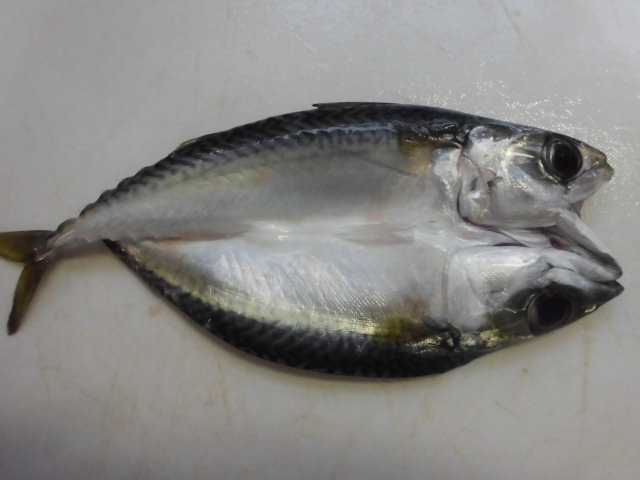 さば開きの干物の焼き方－グリル編