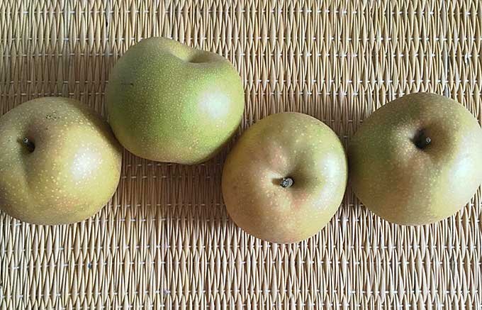 秋の味覚といえば？1位はさつまいも、2位は梨！ランキングと名産地をご紹介！ じゃらんニュース