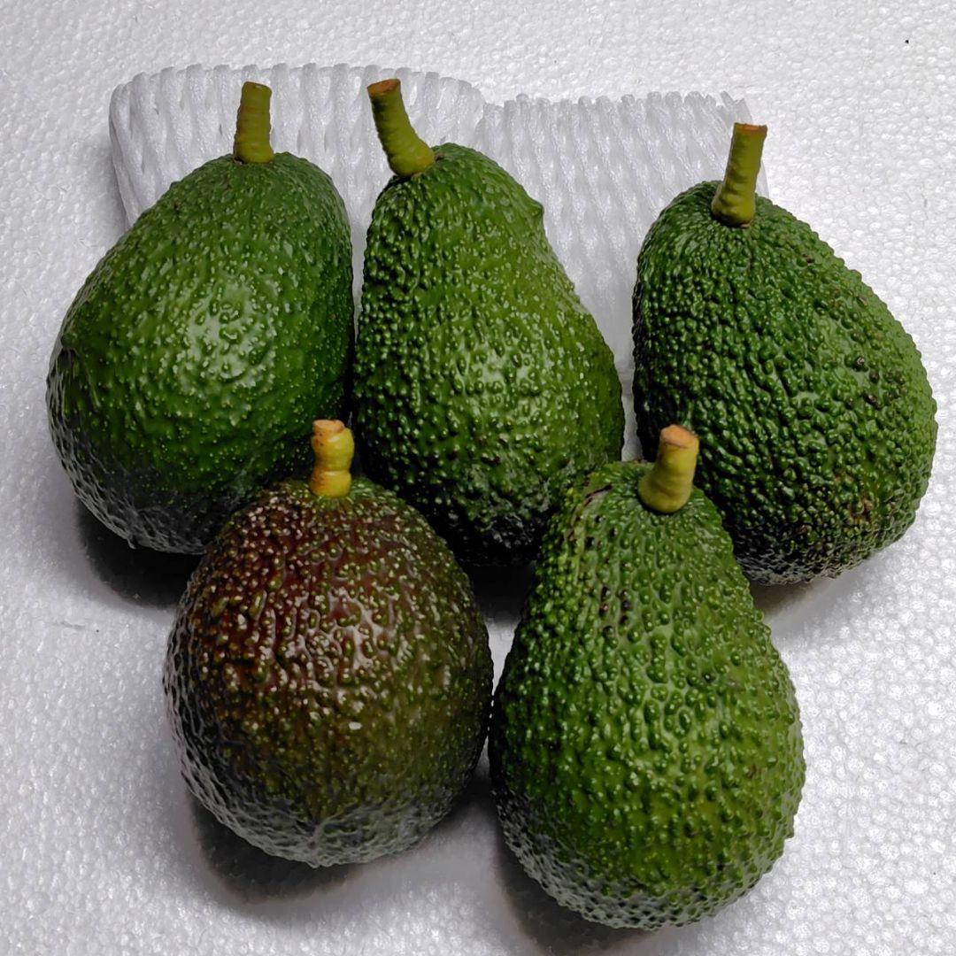 11月頃より発送アボカド 約750g 3～4個 オーガニック 国産 愛媛県産 果物 食物繊維 葉酸 ビタミンk カリウム 栄養 アボガド 愛媛県愛媛 松山市 - 愛媛県松山市ふるさとチョイス - ふるさと納税サイト