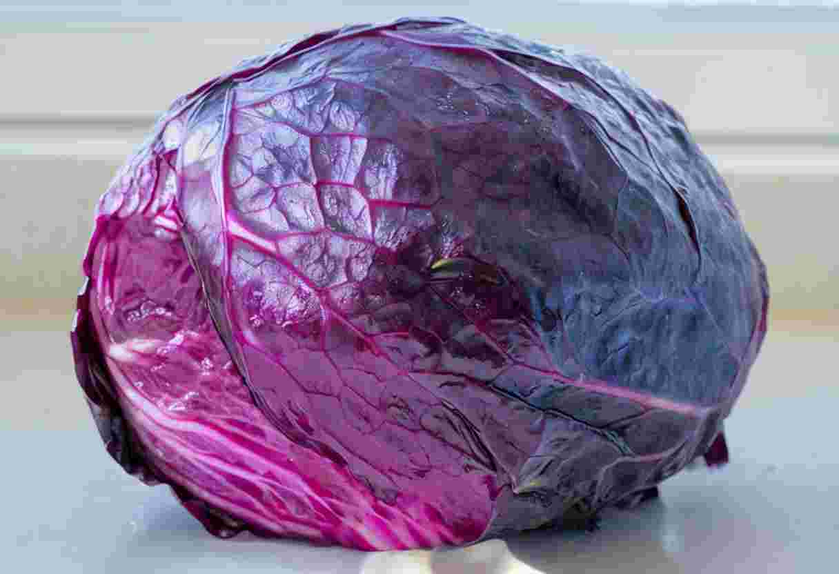 紫キャベツの色素アントシアニンで野菜の色実験をしよう！食オタ食の資格者のためのコミュニティ