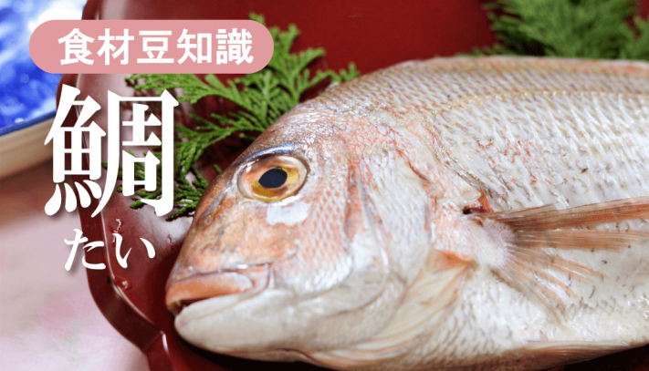 鯛って英語でなんて言う？県魚って？鯛は出世魚？ Kimini英会話