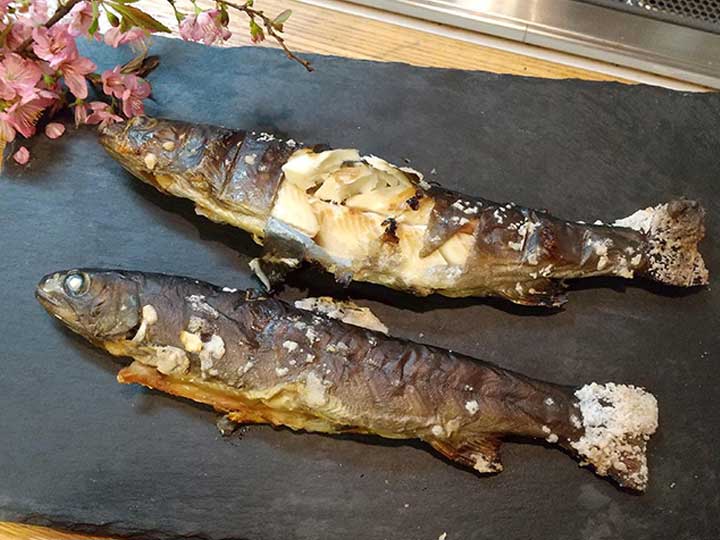 楽天市場 イワナ 塩焼き 刺身 セット 岩魚 冷凍 魚 川魚 養殖 海鮮 bbq 食材 お試し 贈り物 : 淡水養魚場「白山堂」 楽天市場店