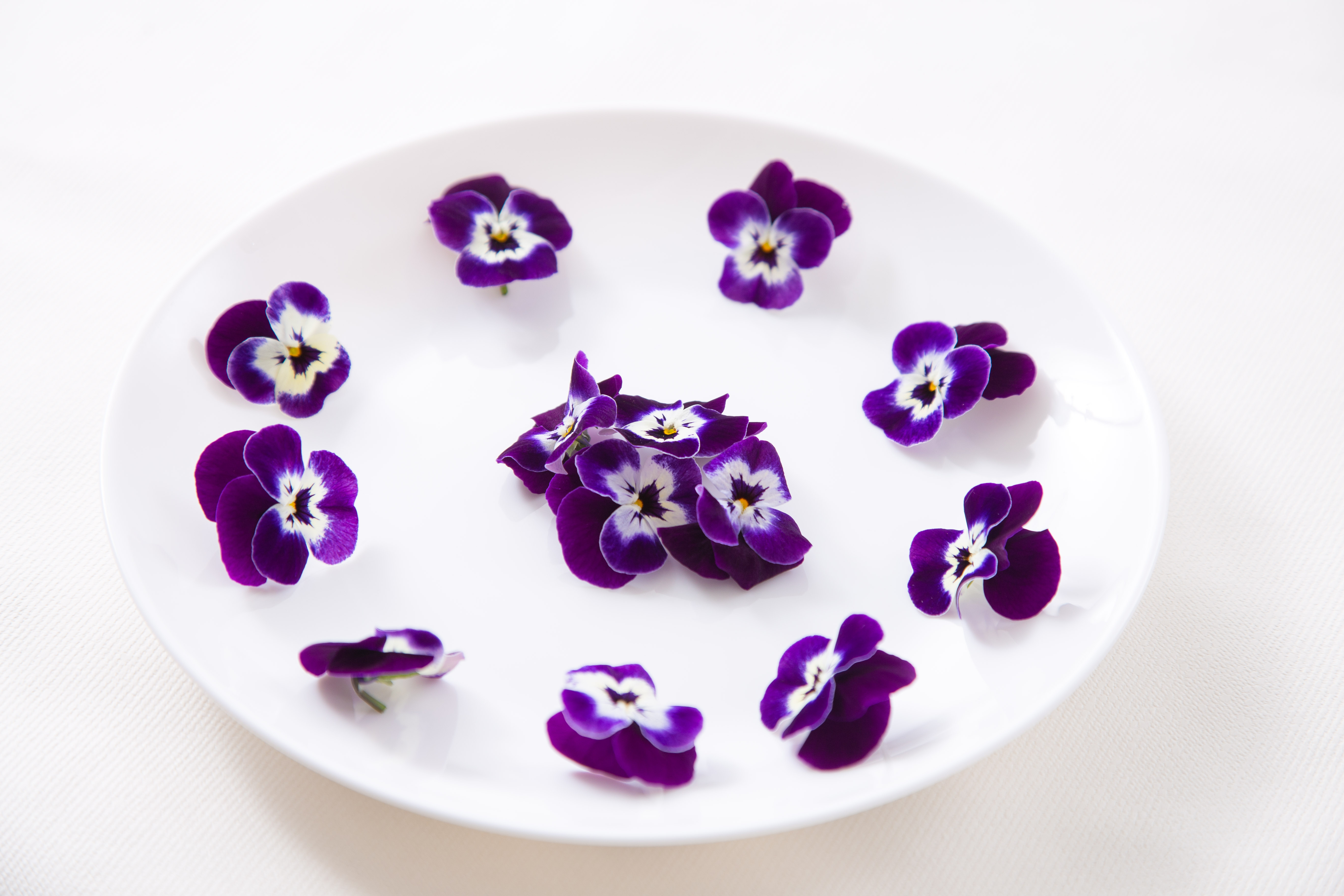 楽天市場 色が選べる食用花 エディブルフラワー 愛知県産 : 夜の八百屋さん