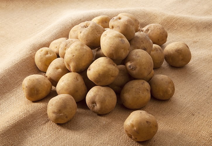 ジャガイモの育て方と栽培のコツやまむファーム