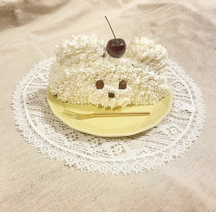 韓国カフェの最新トレンド「ハーフケーキ」が可愛いとJKのうわさ♡Seventeen-Web