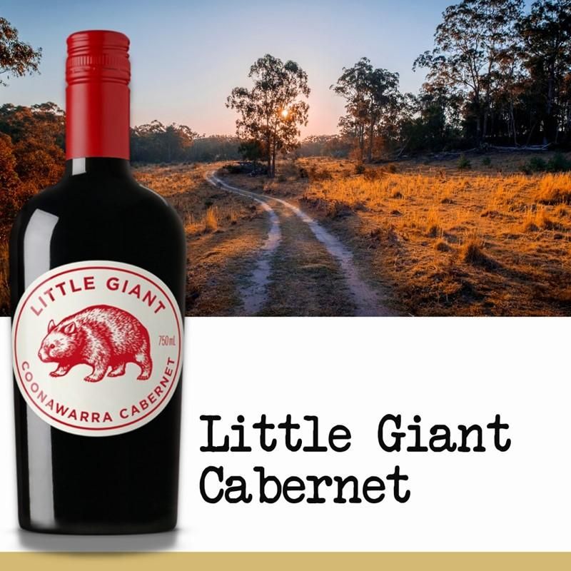 リトル・ペンギン・シャルドネ・2013みんなのワイン