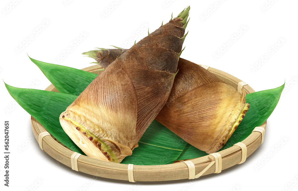 たけのこ 筍 」の知っておきたい！栄養と調理・保存のコツ 食育コラム保育園・幼稚園専門の給食委託会社株式会社富喜屋