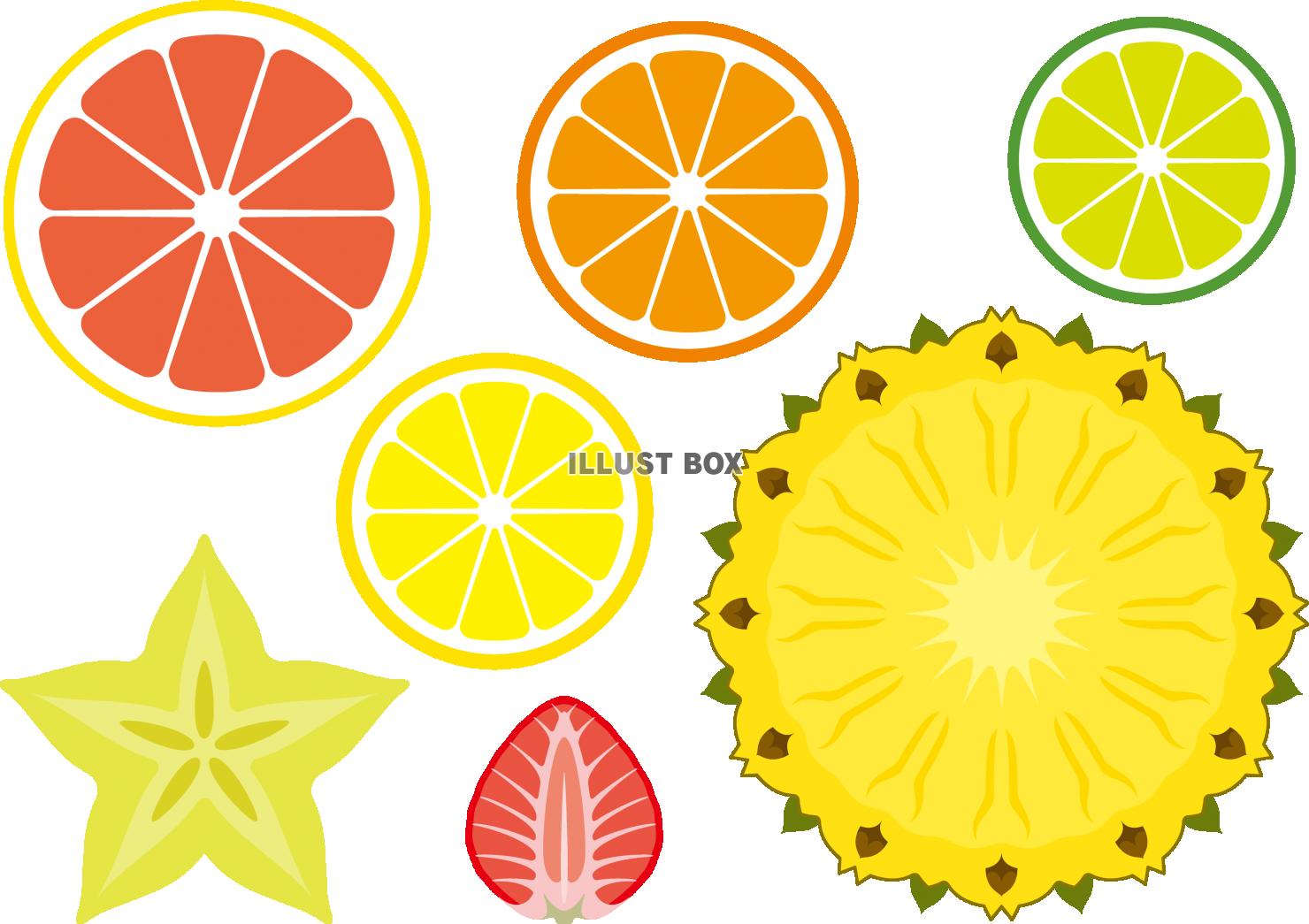 夏の果物と野菜のイラスト素材FYI01250278ストックフォトの Qlean Market キュリンマーケット