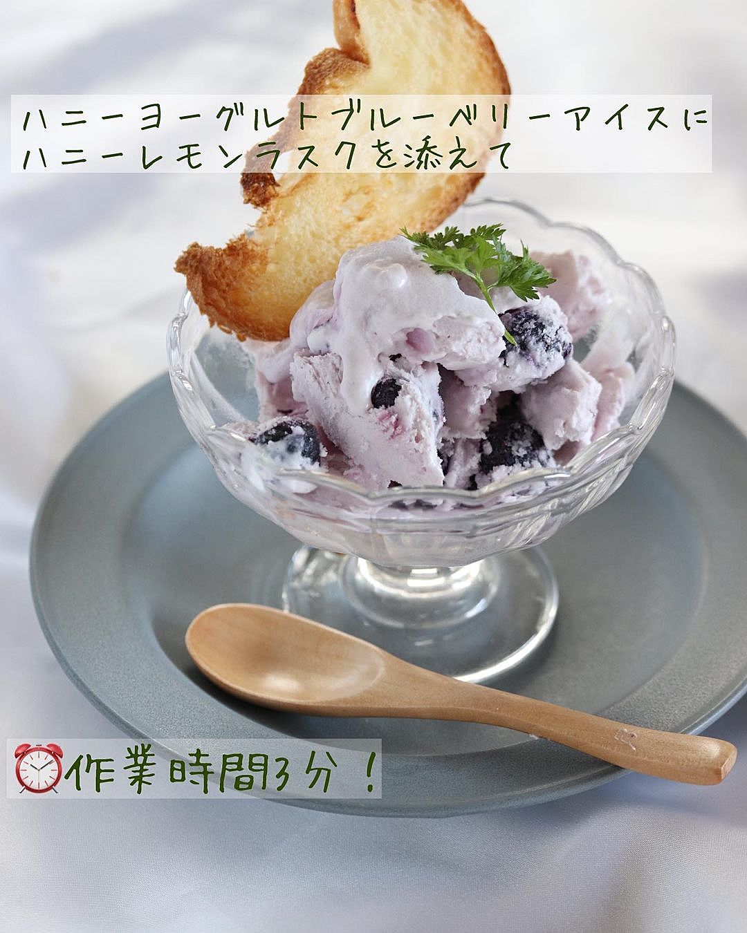 ブルーベリーのヨーグルトアイス