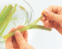 バーベキューでオススメな下ごしらえ〜野菜編その①〜日本最大級のBBQ情報サイトBBQseason