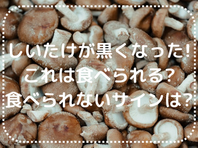 シイタケの変色を理解して、鮮度保持に役立てる