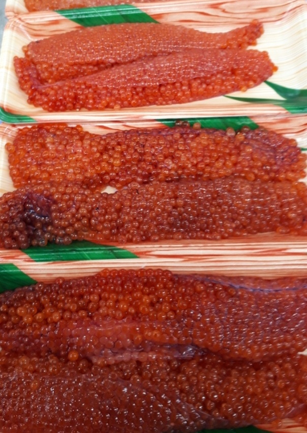生筋子からイクラの醤油漬けを作ろう アニサキス対策もばっちり-匠本舗情報局 たくじょー！