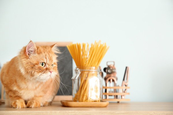 長靴をはいた猫 栄 イタリアン・フレンチ ＜ネット予約可＞ホットペッパーグルメ