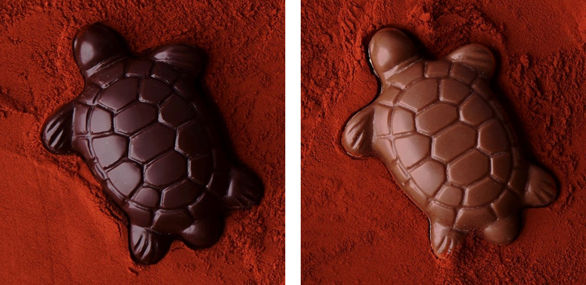 亀さぶれモンレーヴ