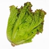 葉酸が多い食べ物 野菜・フルーツなど食品別一覧表 レシピや摂取量の目安も紹介