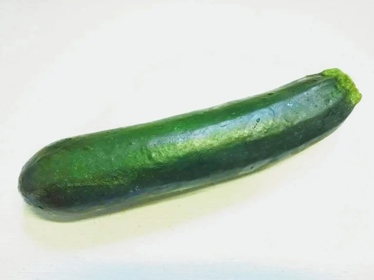 役立つカビと害になるカビ食品微生物お役立ち情報株式会社 東邦微生物病研究所