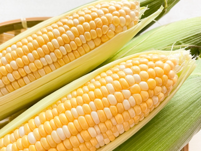 とうもろこし」ではない！「躑躅」の読み方、知っていますか？OTONA SALONE