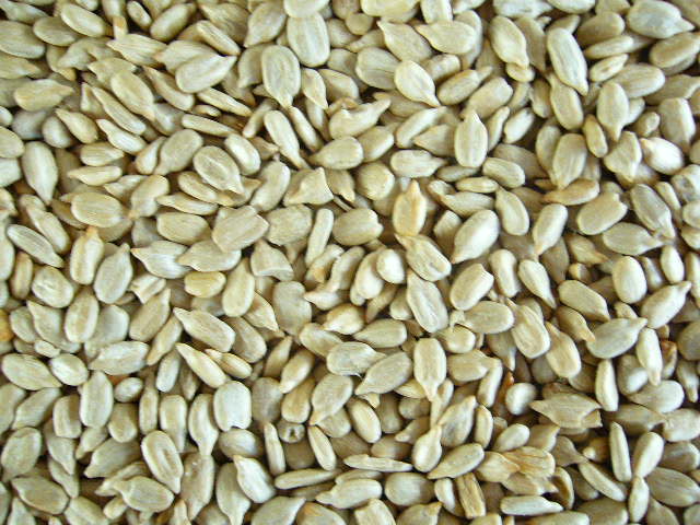 ひまわりのたね ココナッツ風味ホーチミンキッチンからの