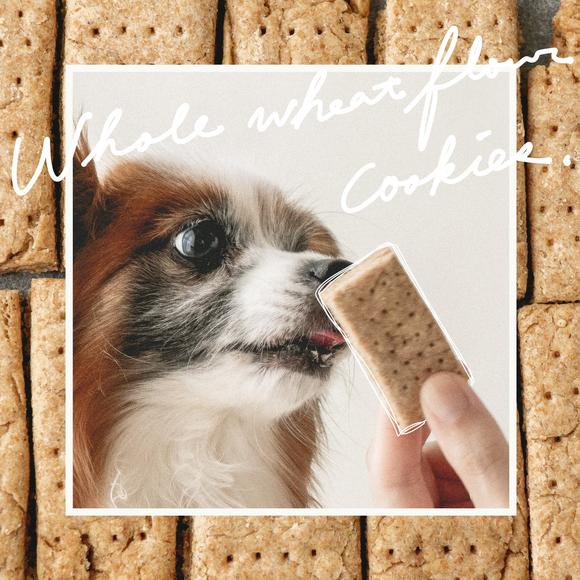 DogMenu～にんじんクッキ