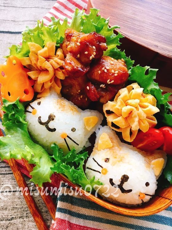 ペットフード 猫 手作りレシピ vetslabo 公式 ベッツラボ Kitchen & Aspic 猫用 サーモンと鶏肉のアスピック 40gメール便配送 一般食