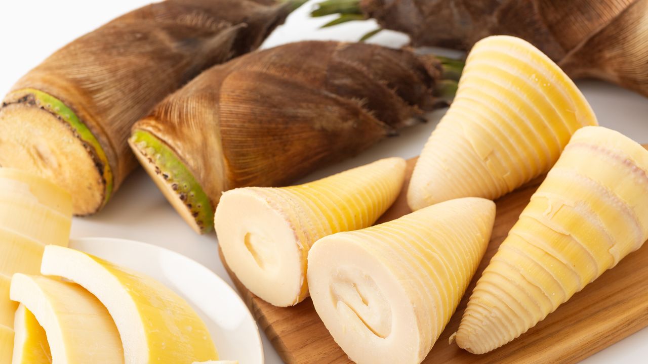 たけのこの下茹で、保存、部位別料理、木の芽について紹介マジカルキッチン