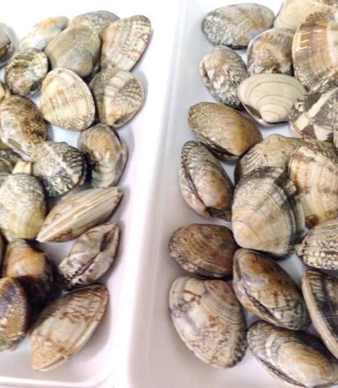 アサリ酒蒸し塩ラーメン西山製麺株式会社